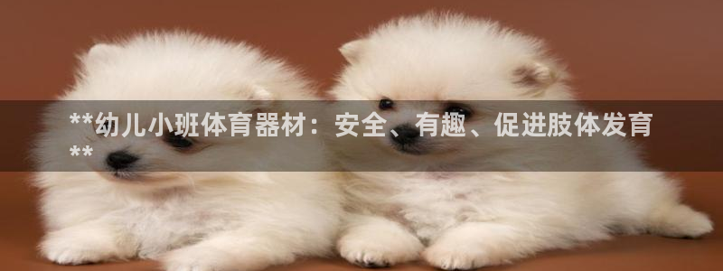 星欧娱乐app最新版本更新内容是什么：**幼儿小班体育器材：