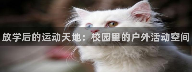 星娱乐online音乐