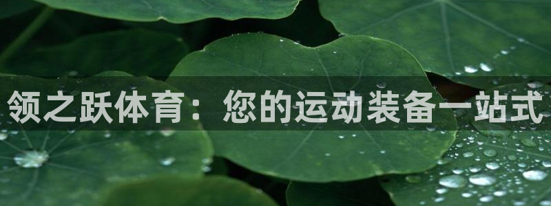 星欧娱乐挂机教程视频：领之跃体育：您的运动装备一站式