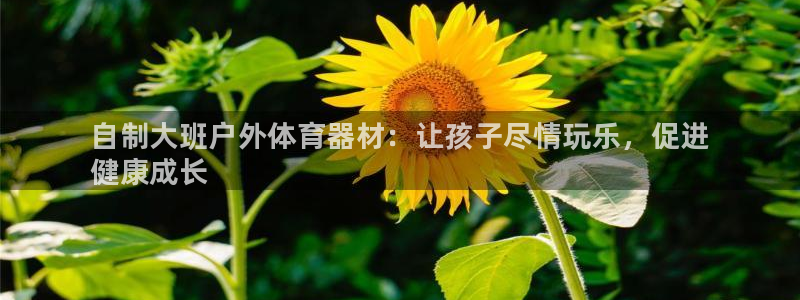 星欧娱乐退款流程详解：自制大班户外体育器材：让孩子尽