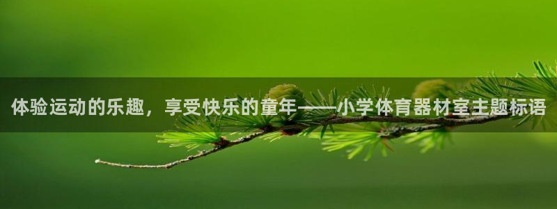 星欧娱乐最建议买的三个产品有哪些