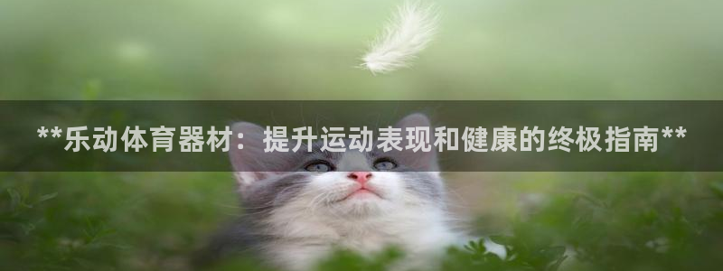 星澳娱乐公司：**乐动体育器材：提升运动表现和健康的终极指南