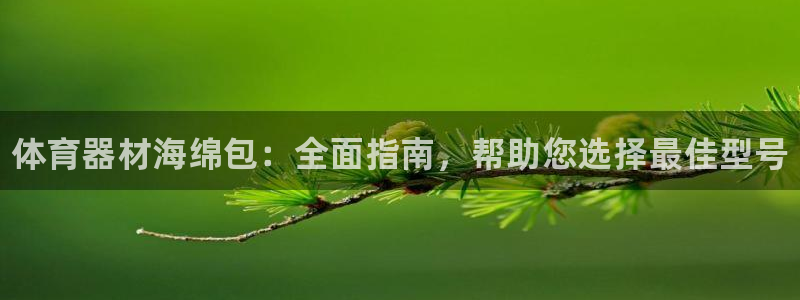 江苏星奥娱乐有限公司出过哪些艺人：体育器材海绵包：全面指南，