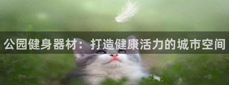 星欧娱乐平台怎么样啊：公园健身器材：打造健康活力的城市空间