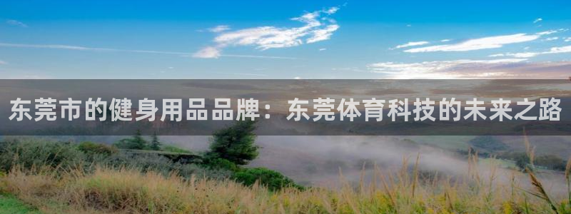 星奥娱乐待遇怎么样：东莞市的健身用品品牌：东莞体育科