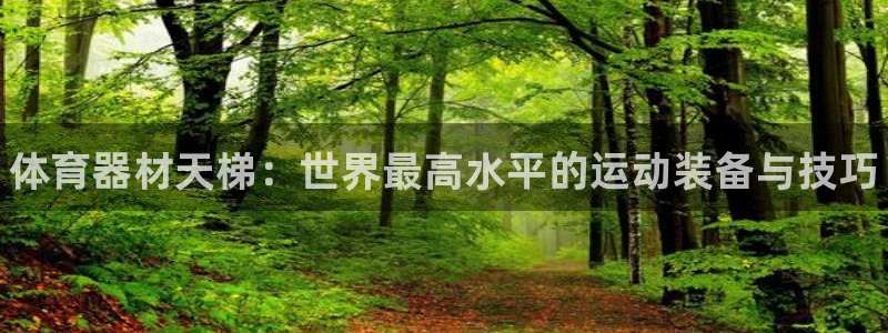 星欧娱乐扣款时间查询方法：体育器材天梯：世界最高水平