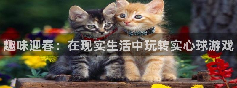 江苏星奥娱乐有限公司招聘：趣味迎春：在现实生活中玩转