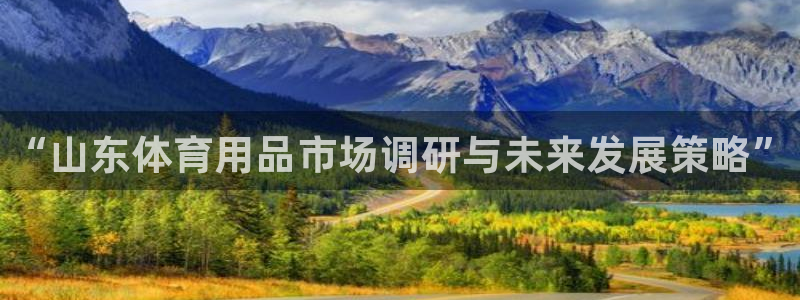 星欧娱乐属于什么档次的软件公司：“山东体育用品市场调