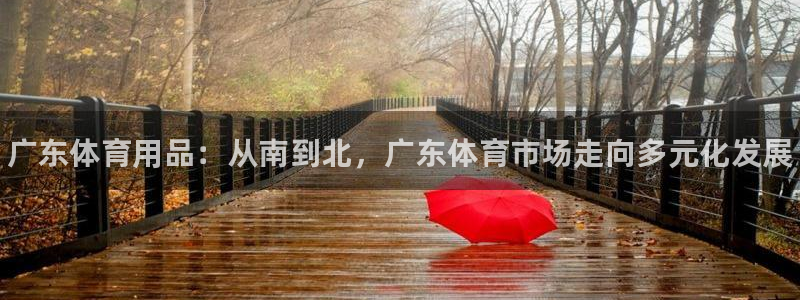 星欧娱乐的官方版本更新内容：广东体育用品：从南到北，