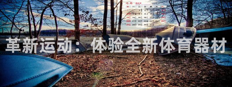 星欧娱乐官网下载：革新运动：体验全新体育器材