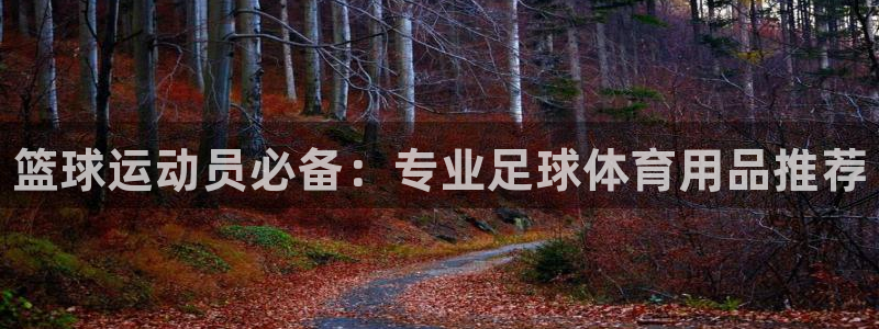 星欧娱乐平台怎么样可靠吗安全吗：篮球运动员必备：专业