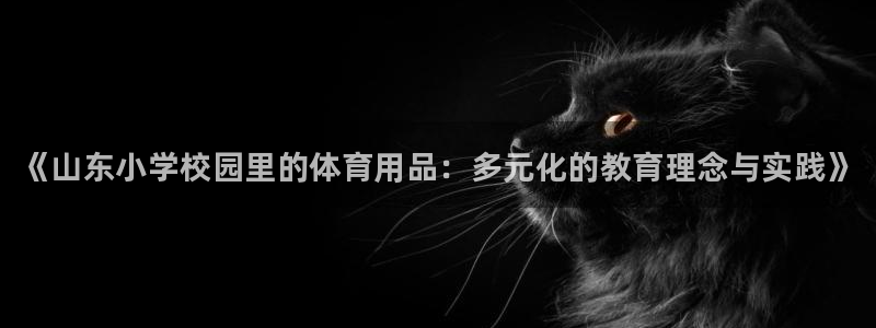 星欧娱乐扣款流程详解图：《山东小学校园里的体育用品：