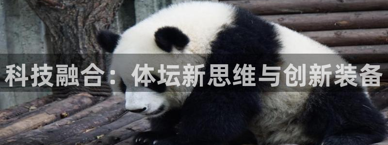 星欧娱乐被扣款7IIII怎么关闭：科技融合：体坛新思