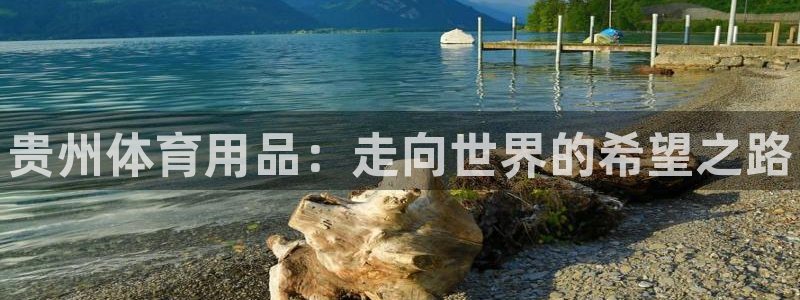 星娱乐online张译：贵州体育用品：走向世界的希望之路