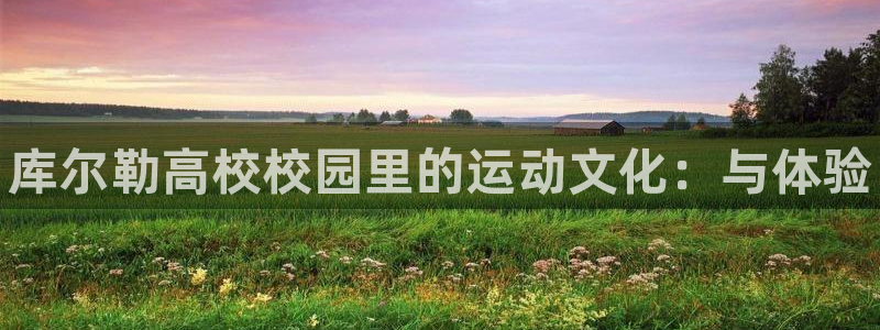 星欧娱乐公司创始人背景故事简介：库尔勒高校校园里的运动文化：