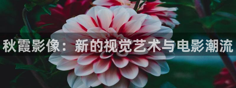 天龙影视app：秋霞影像：新的视觉艺术与电影潮流