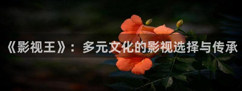 天龙影院网站：《影视王》：多元文化的影视选择与传承