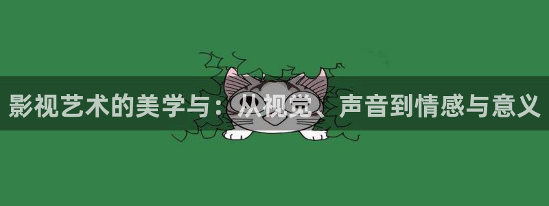 天狼天龙影院：影视艺术的美学与：从视觉、声音到情感与意义