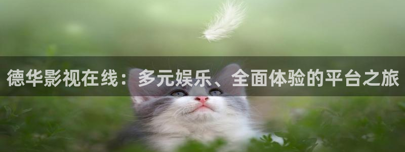 天龙影院2023年最新款的电视剧有哪些：德华影视在线：多元娱乐、全面体验的平台之旅