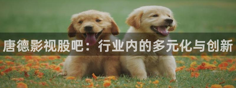 天龙影院官网首页：唐德影视股吧：行业内的多元化与创新