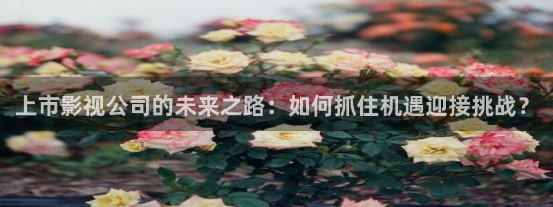 天龙影院mp4：上市影视公司的未来之路：如何抓住机遇迎接挑战？